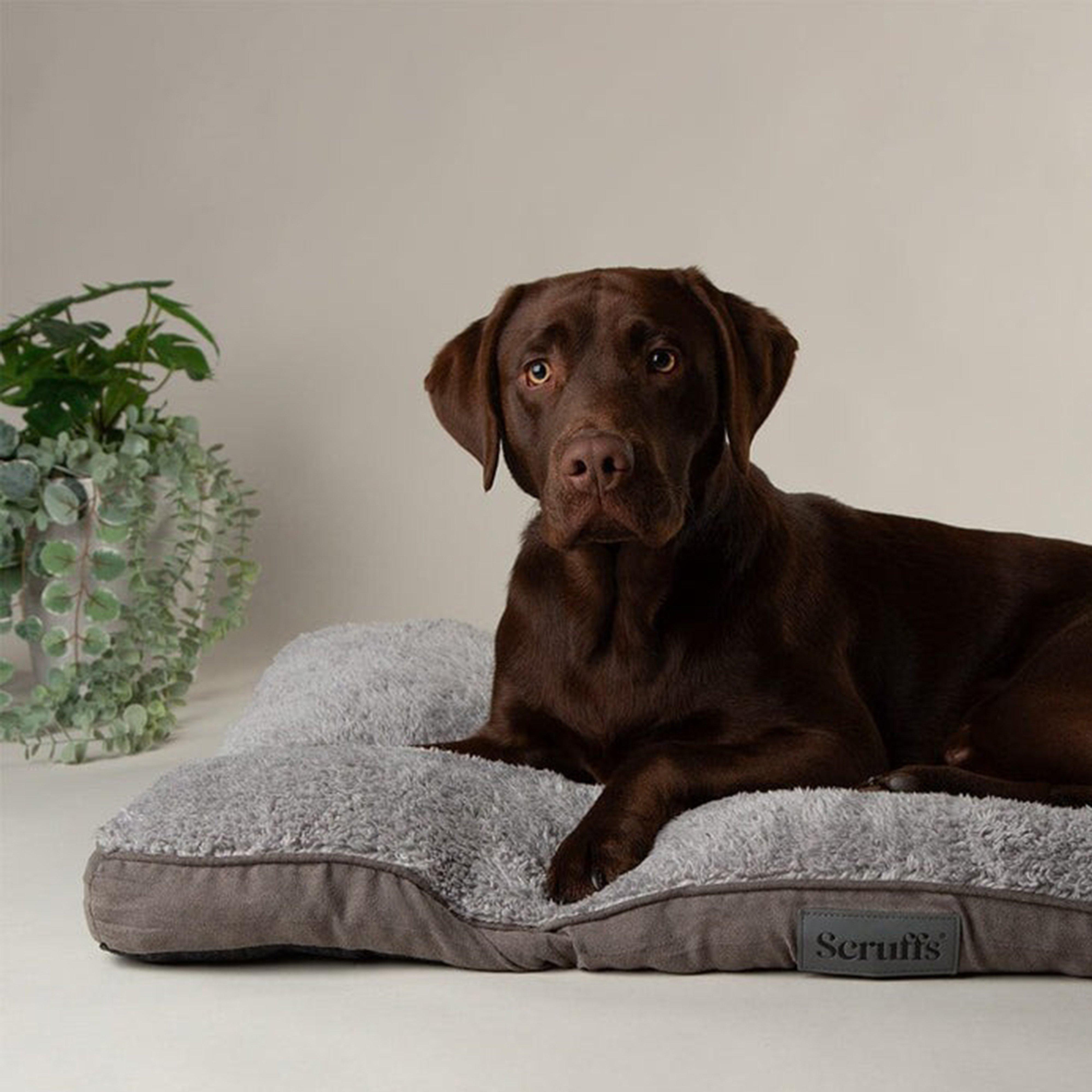 Cosy Mattress L