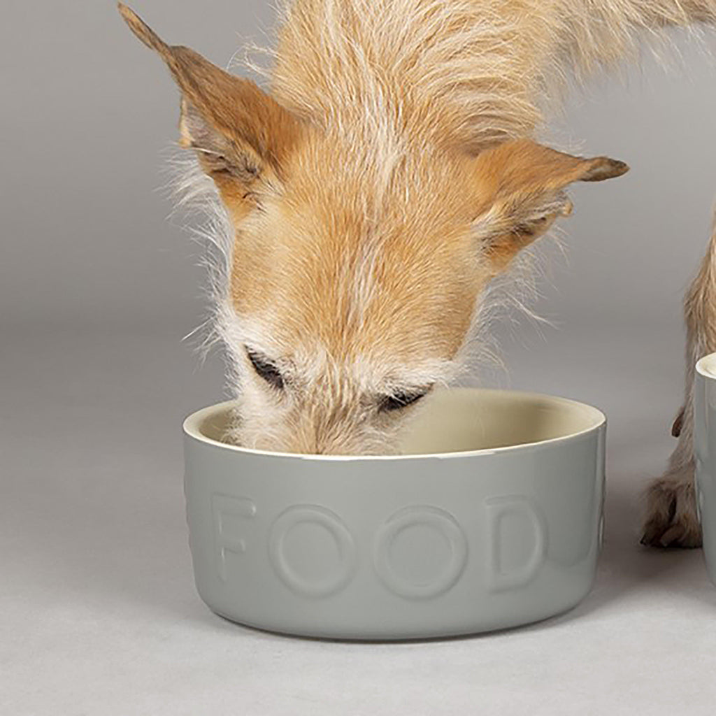 Classic Food Bowl 19cm