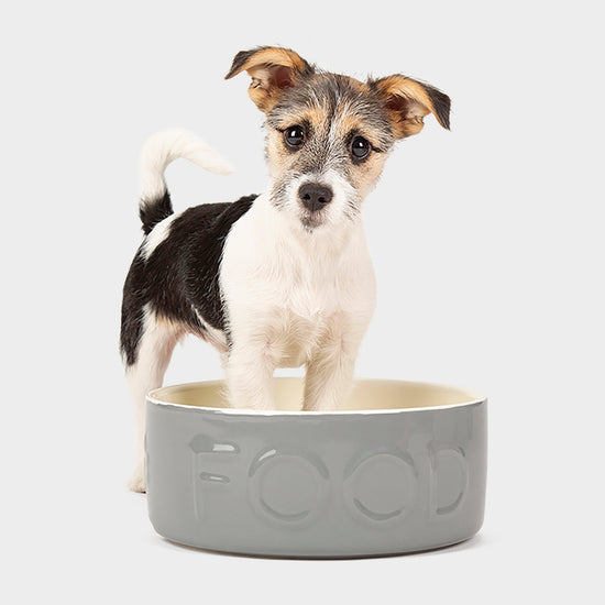 Classic Food Bowl 25cm