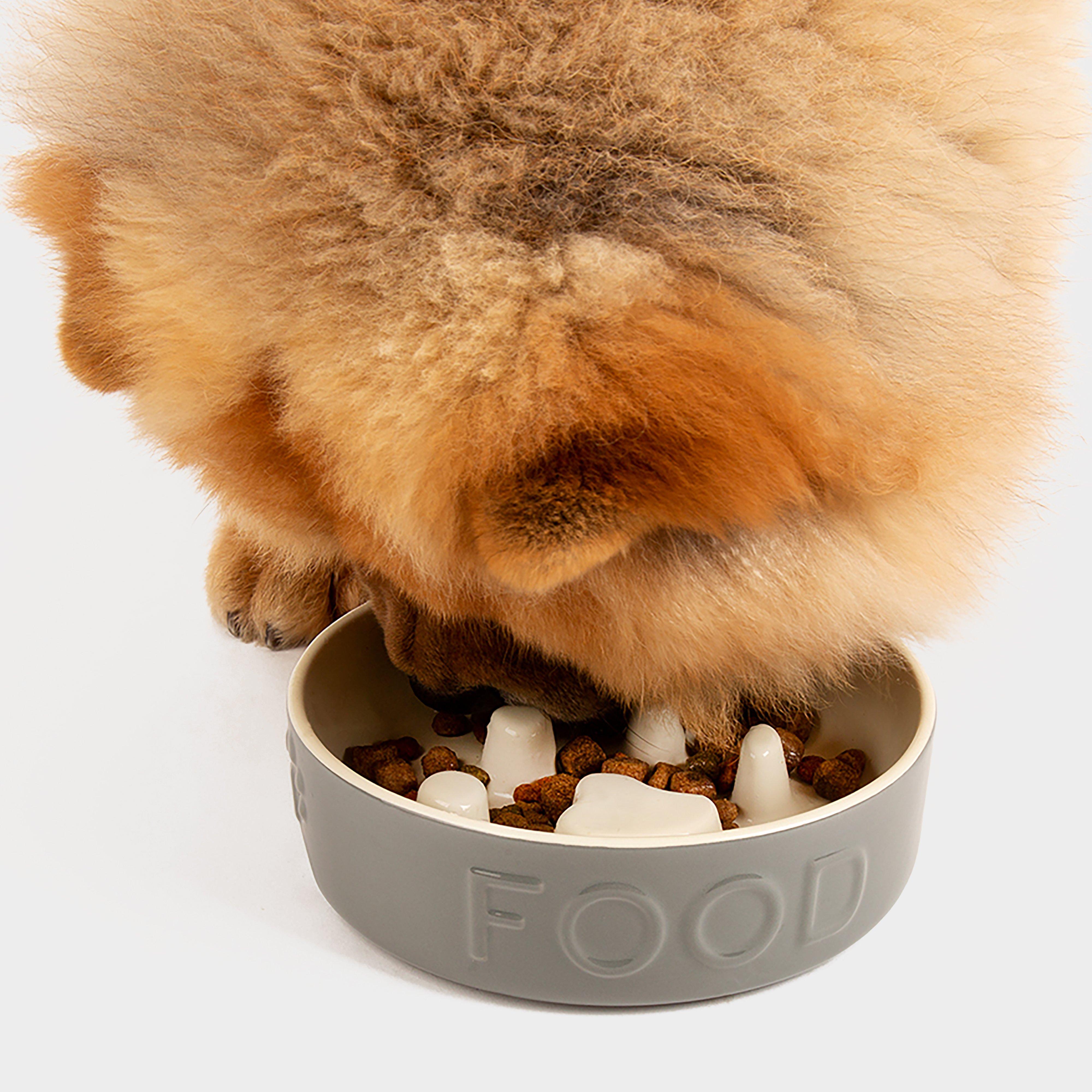 Classic Dog Slow Feeder Bowl 16cm