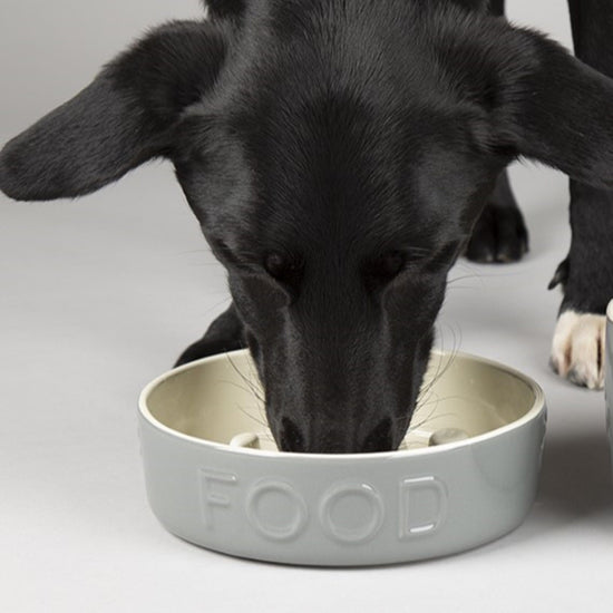 Classic Dog Slow Feeder Bowl 20cm