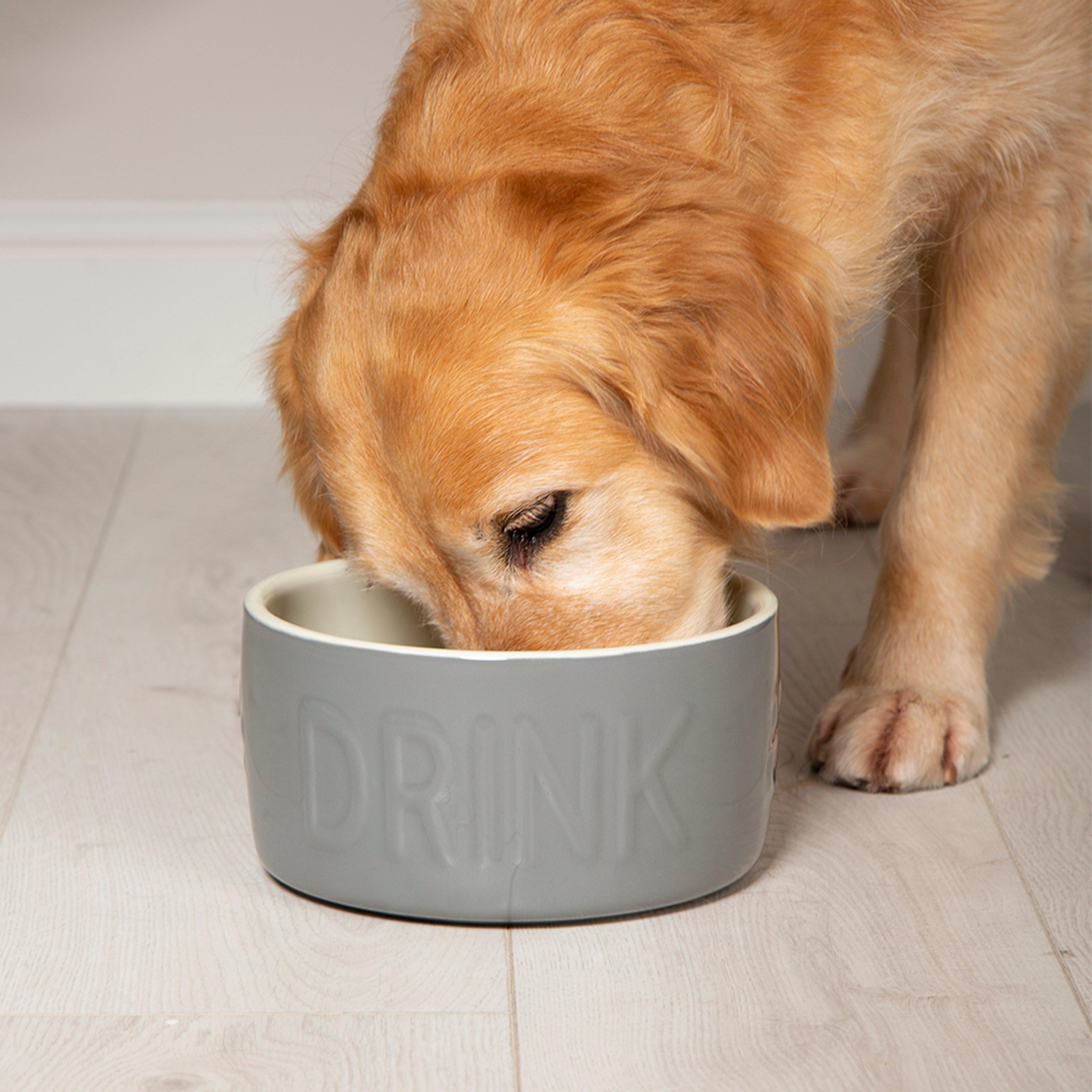 Classic Water Bowl 20cm