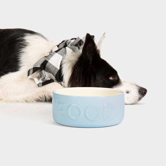 Classic Food Bowl 19cm