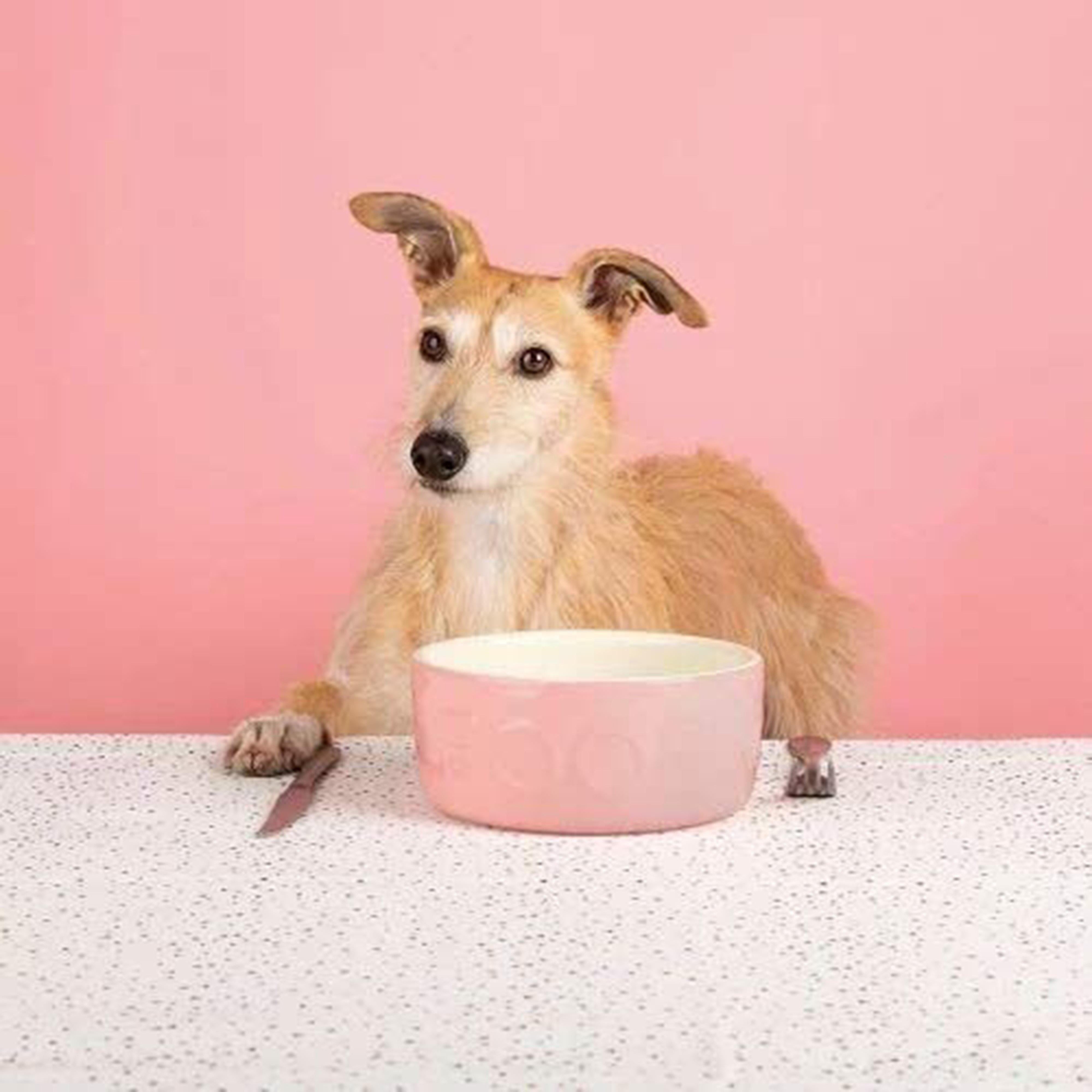 Classic Food Bowl 19cm