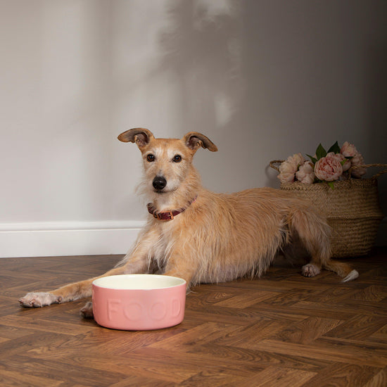 Classic Food Bowl 19cm