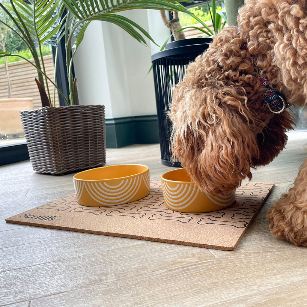 Cork Pet Placemat