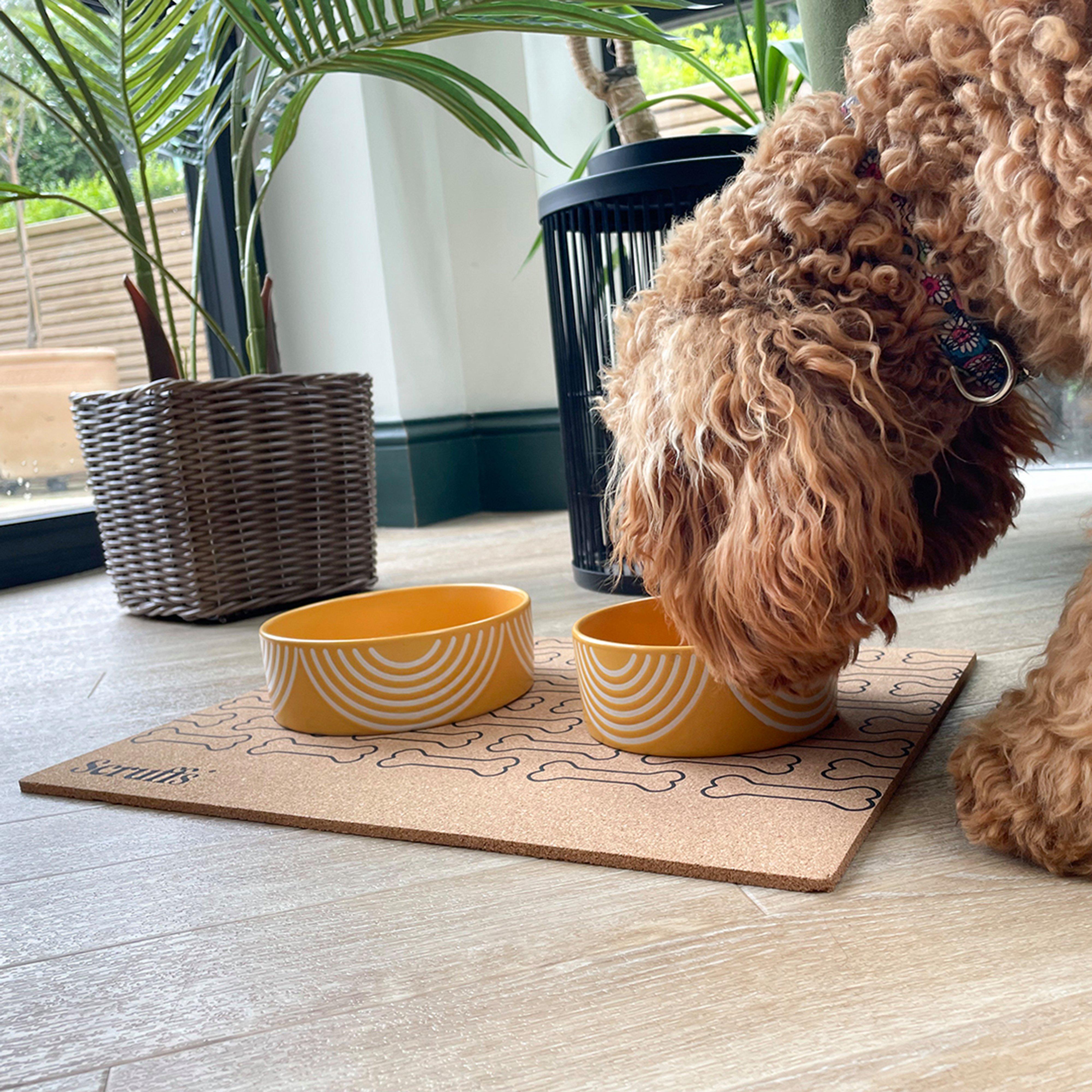 Cork Pet Placemat