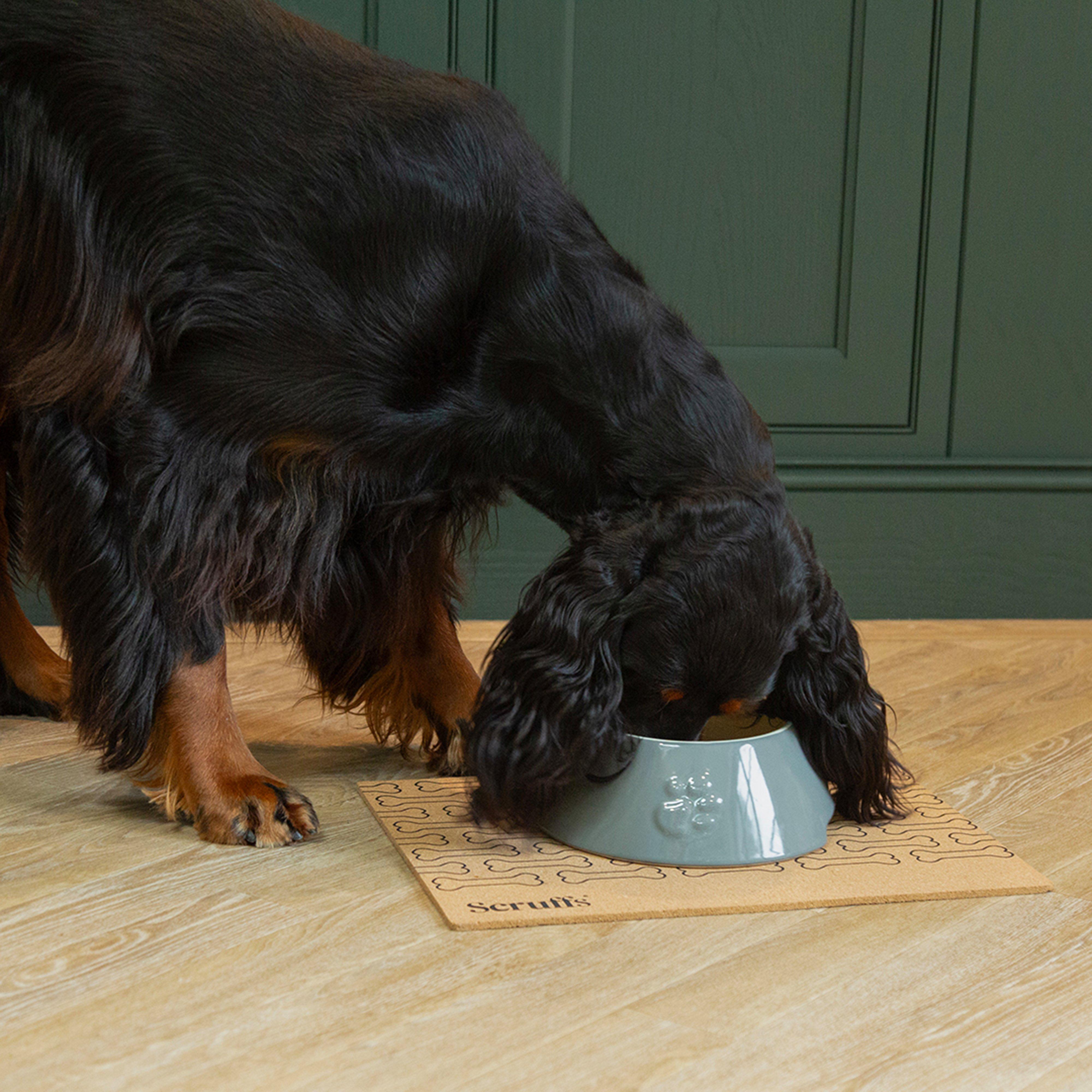 Cork Pet Placemat