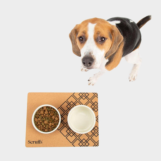 Cork Pet Placemat
