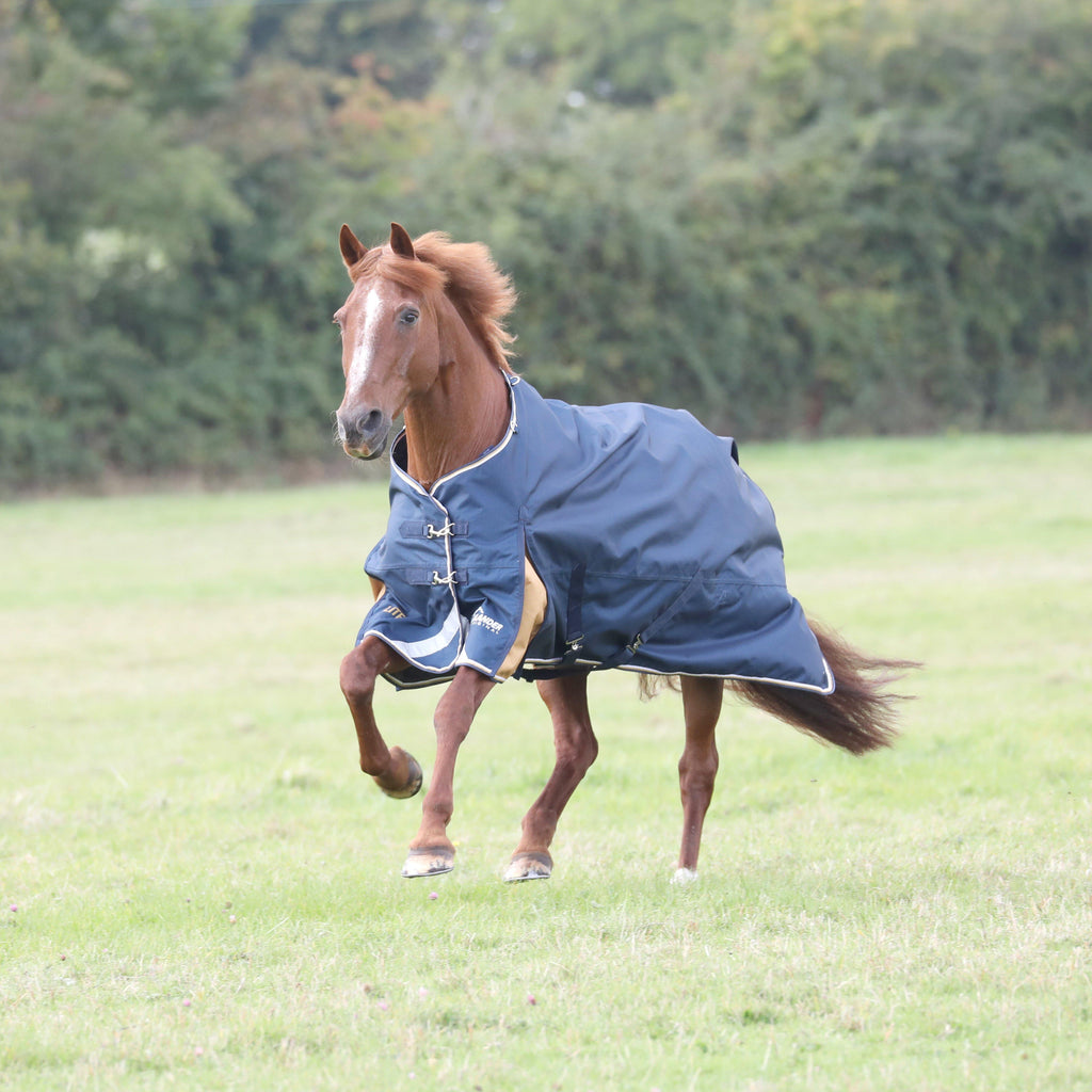 Highlander Plus Lite 0g Standard Neck Turnout Rug