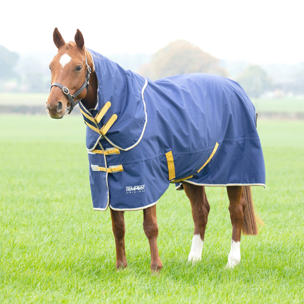 Tempest Original 50g Combo Turnout Rug