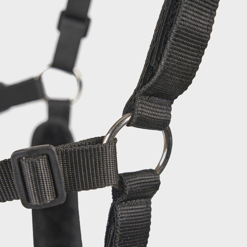 Deluxe Comfort Grazing Muzzle