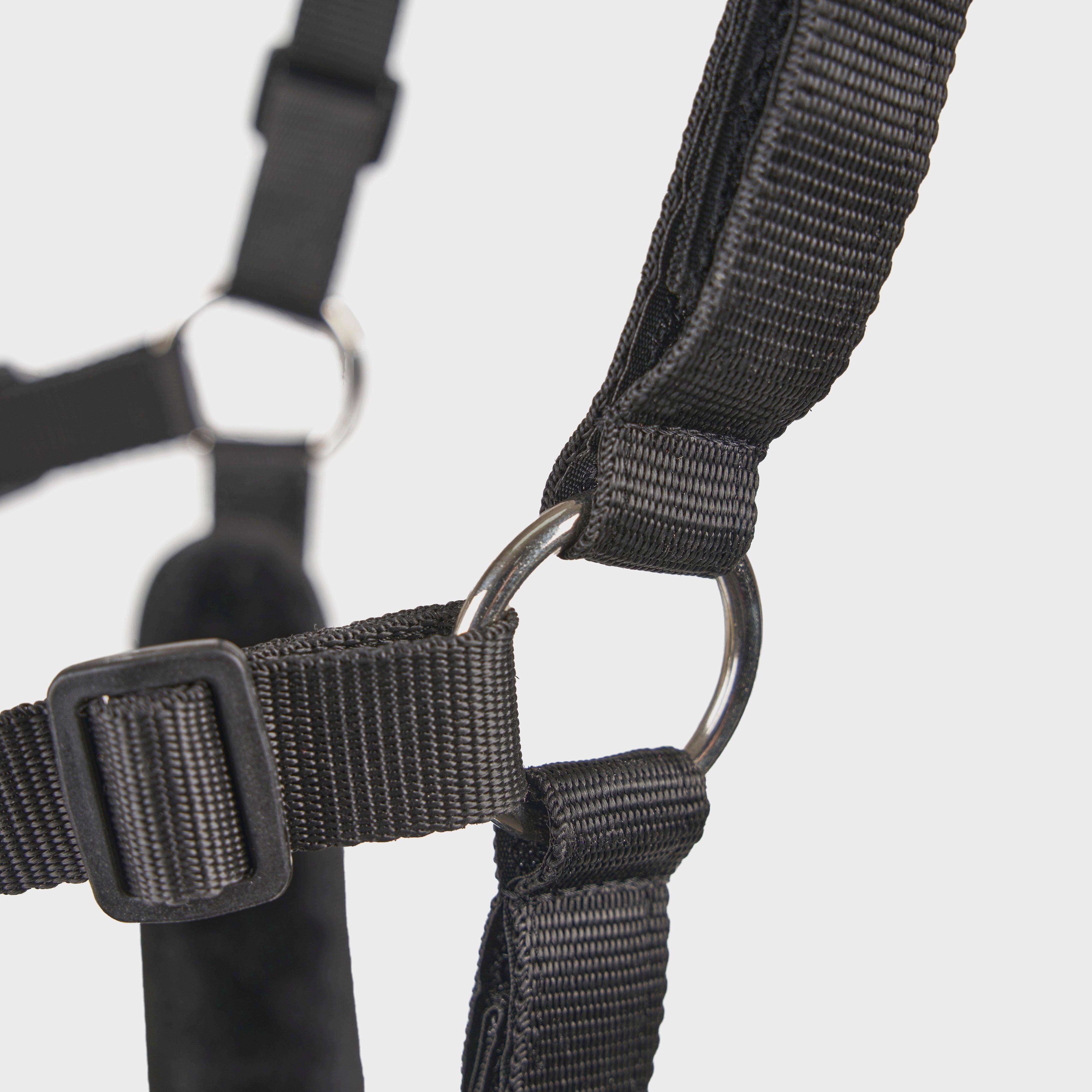 Deluxe Comfort Grazing Muzzle