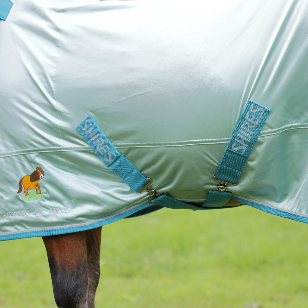 Winnie & Me Fly Combo Rug