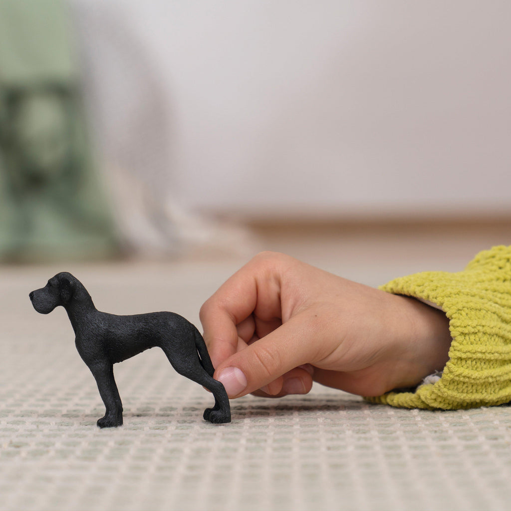 Great Dane