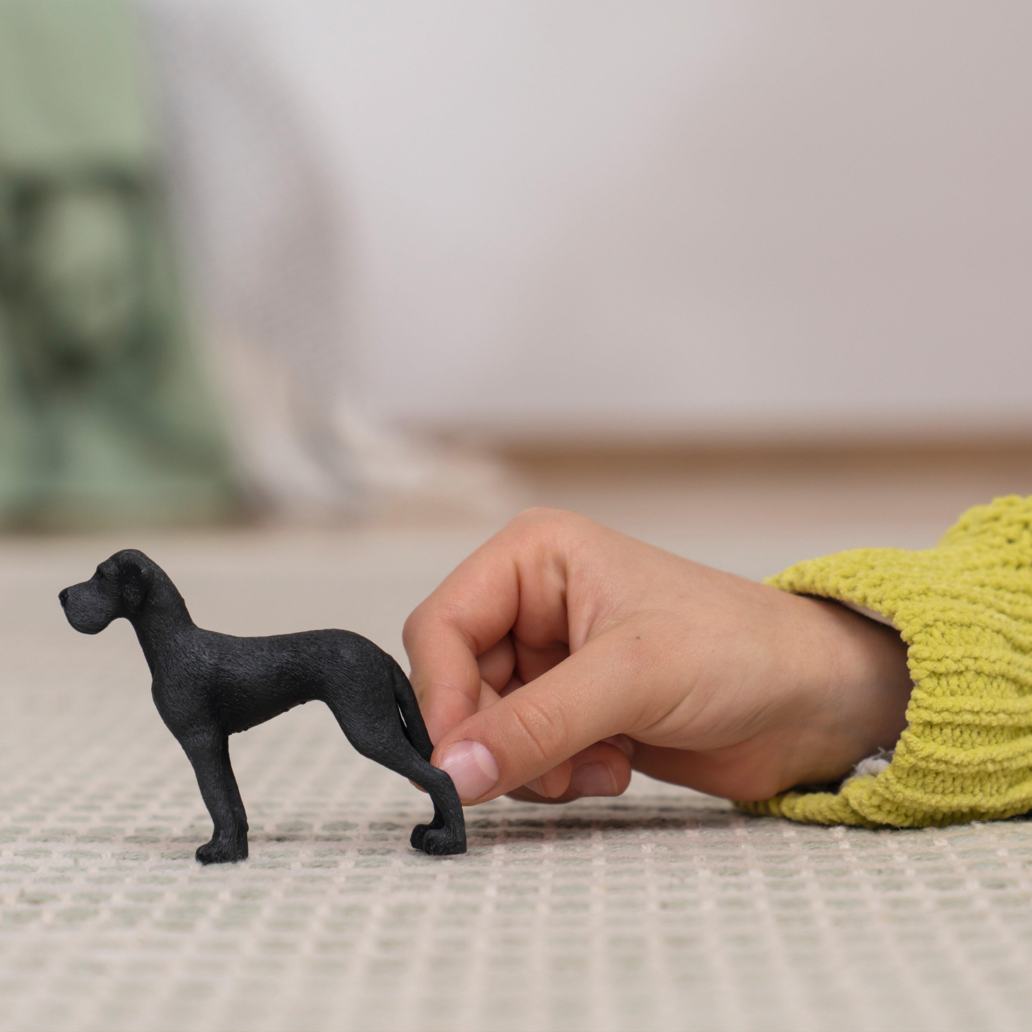 Great Dane