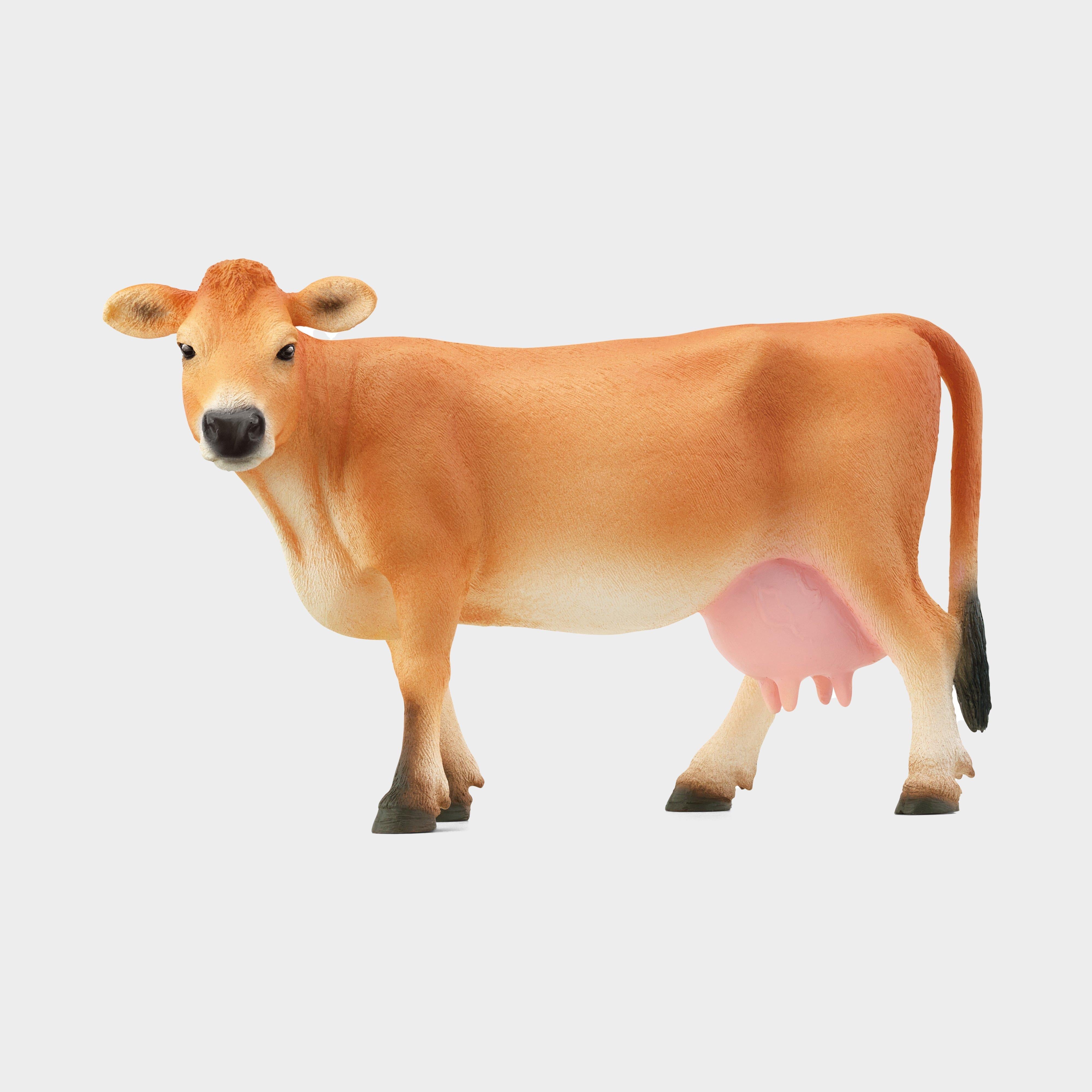 Jersey Cow