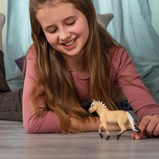 Norwegian Fjord Horse Mare