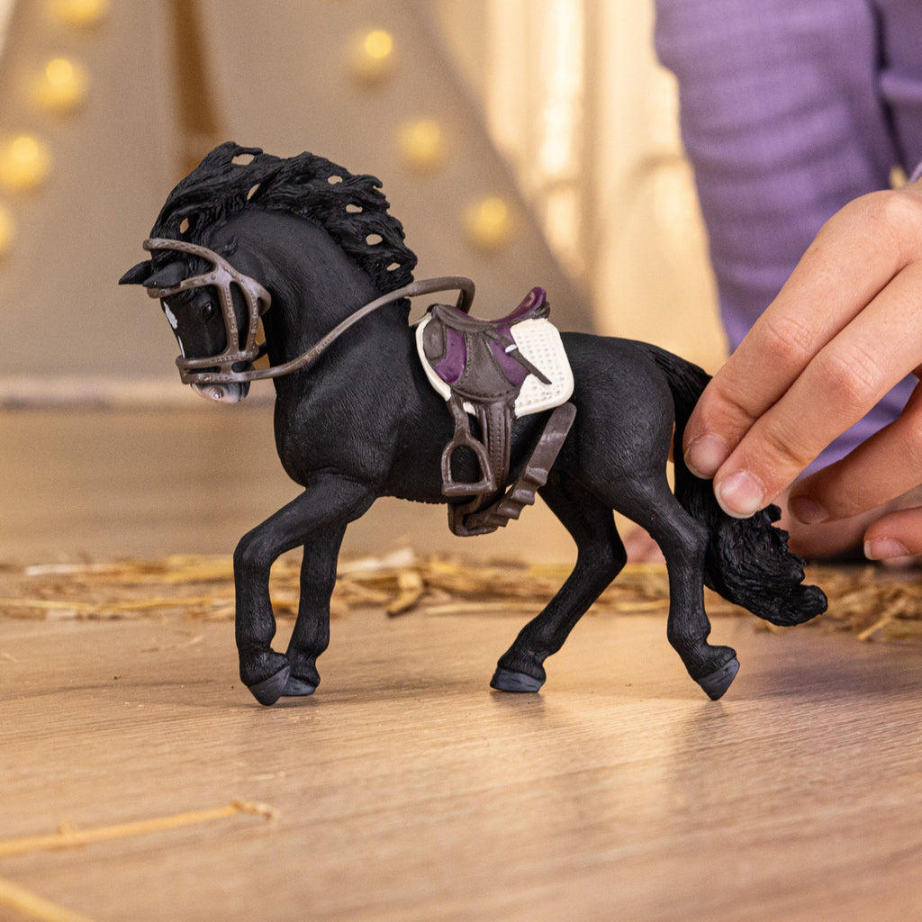 Pura Raza Española Stallion with Saddle & Bridle