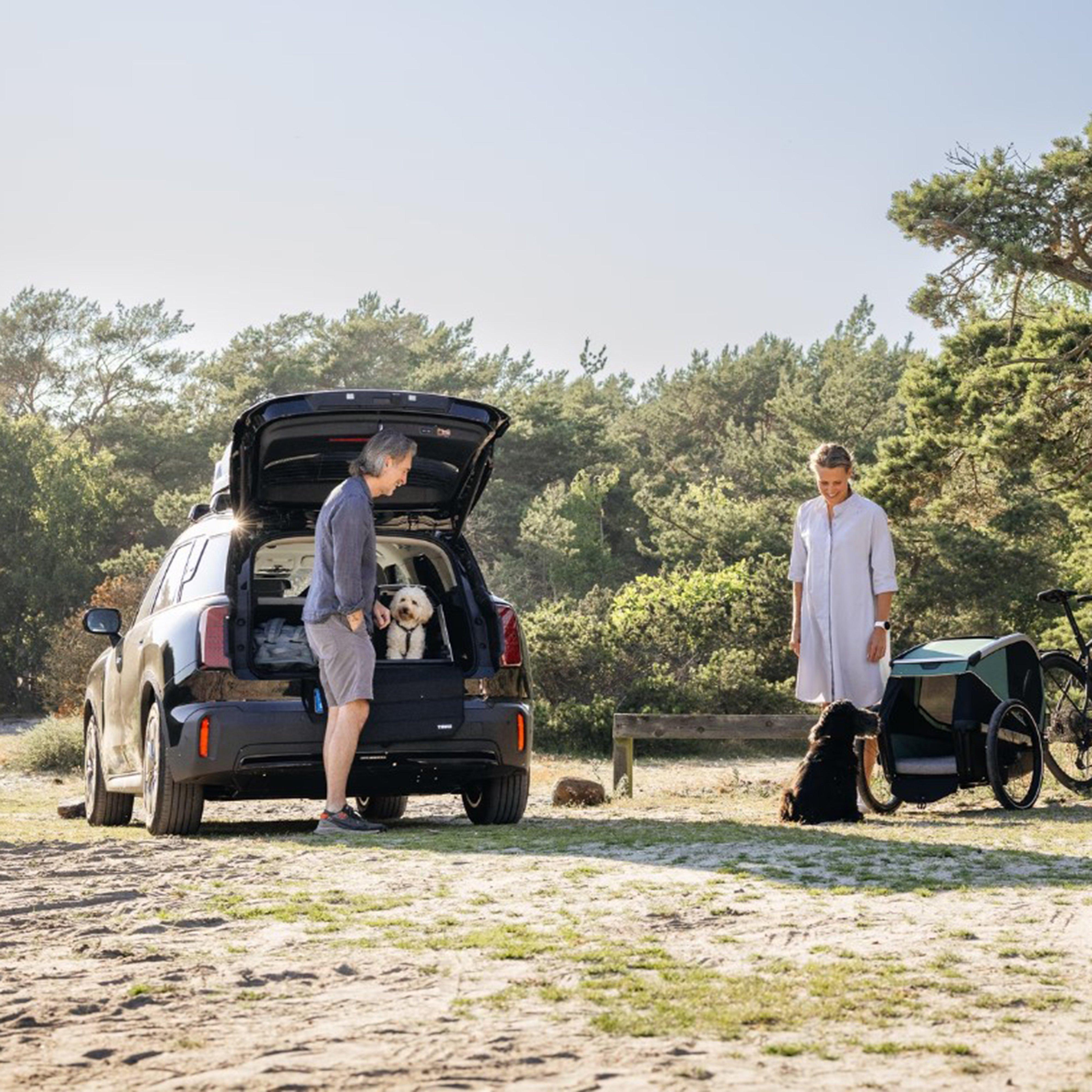 Allax Threshold Compatible Dog Car Crate XS