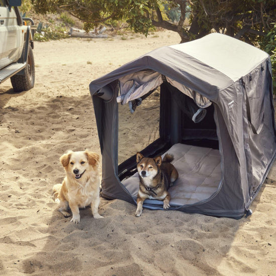 K9 80 AIR Kennel