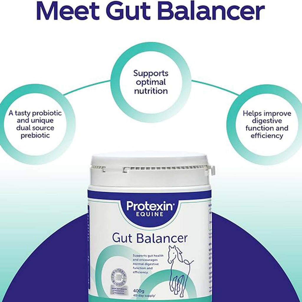 Gut Balancer 400g
