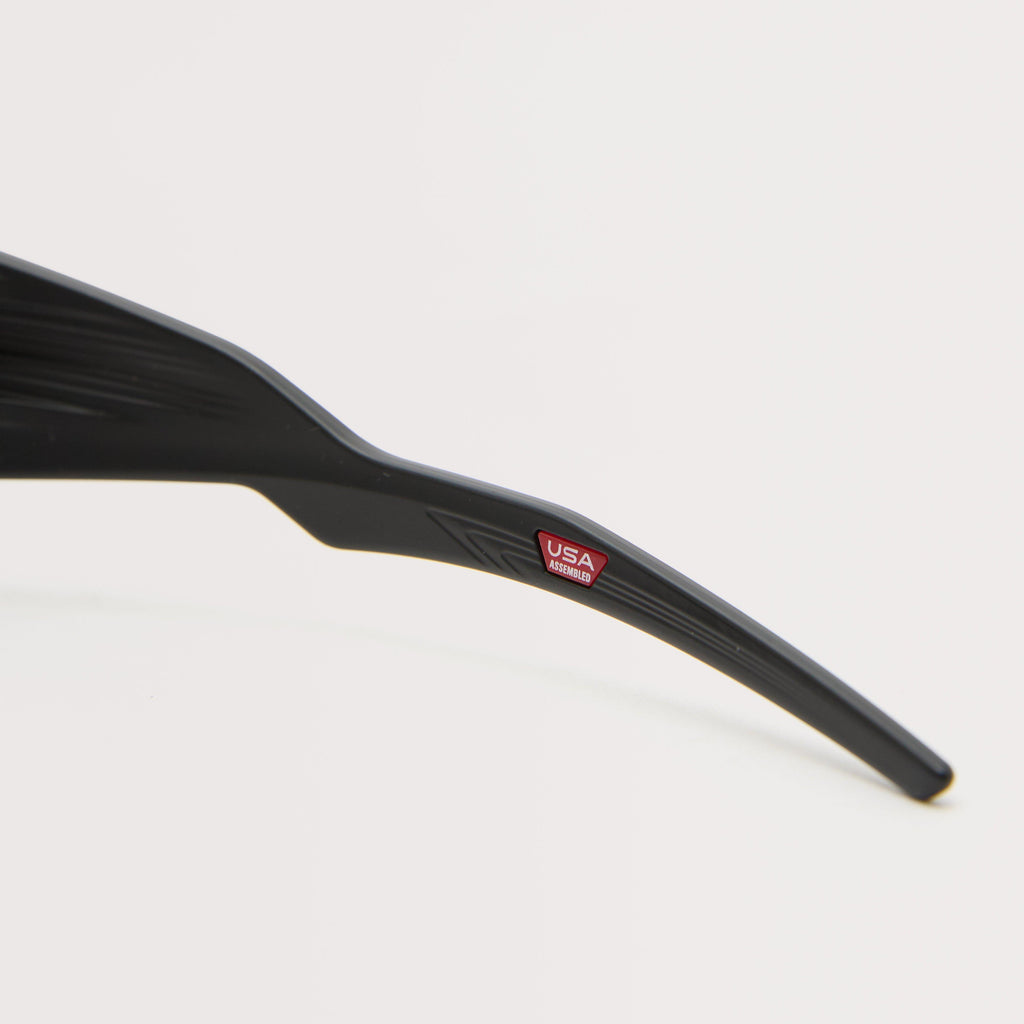 Masseter Sunglasses