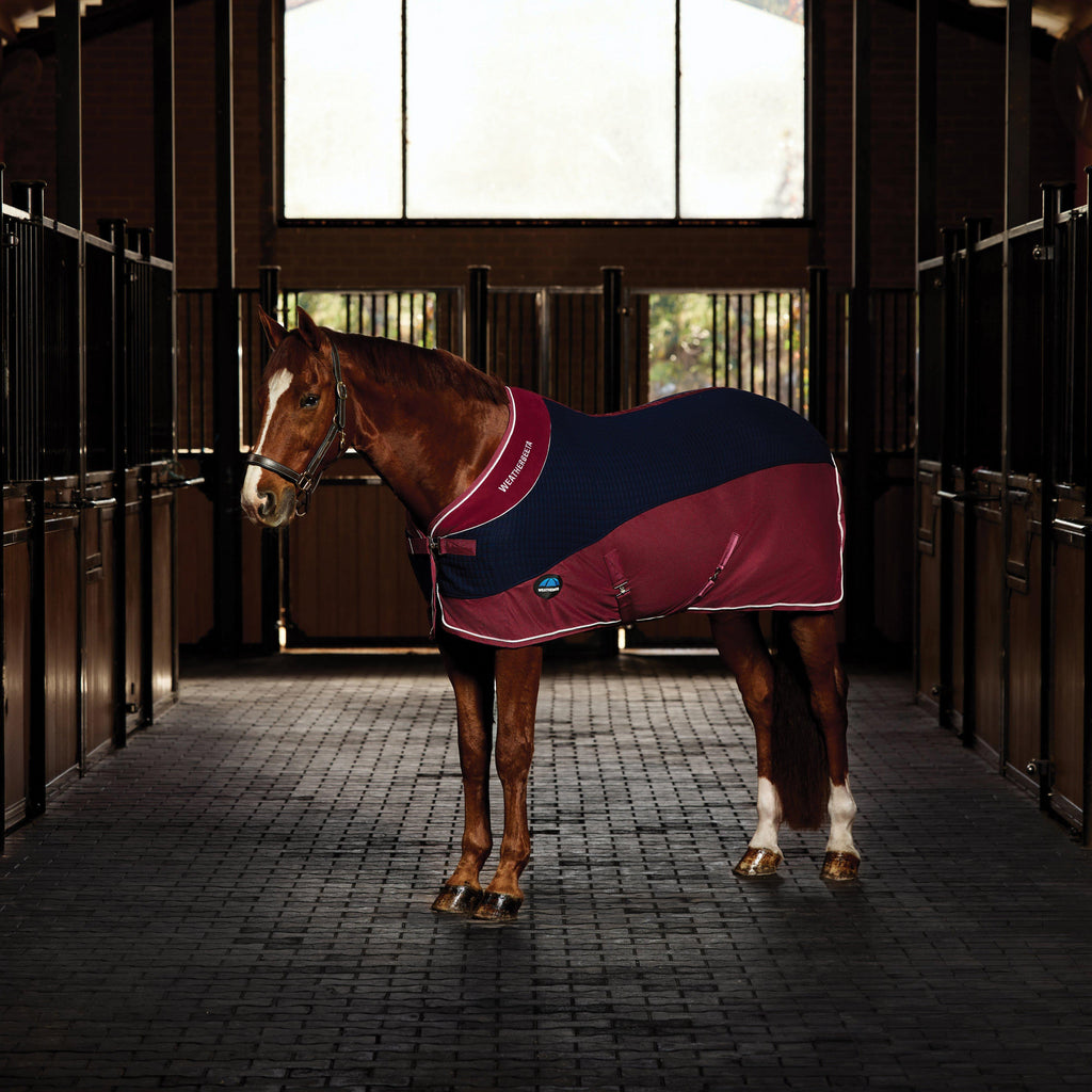 Thermo-Air Cooler Standard Neck