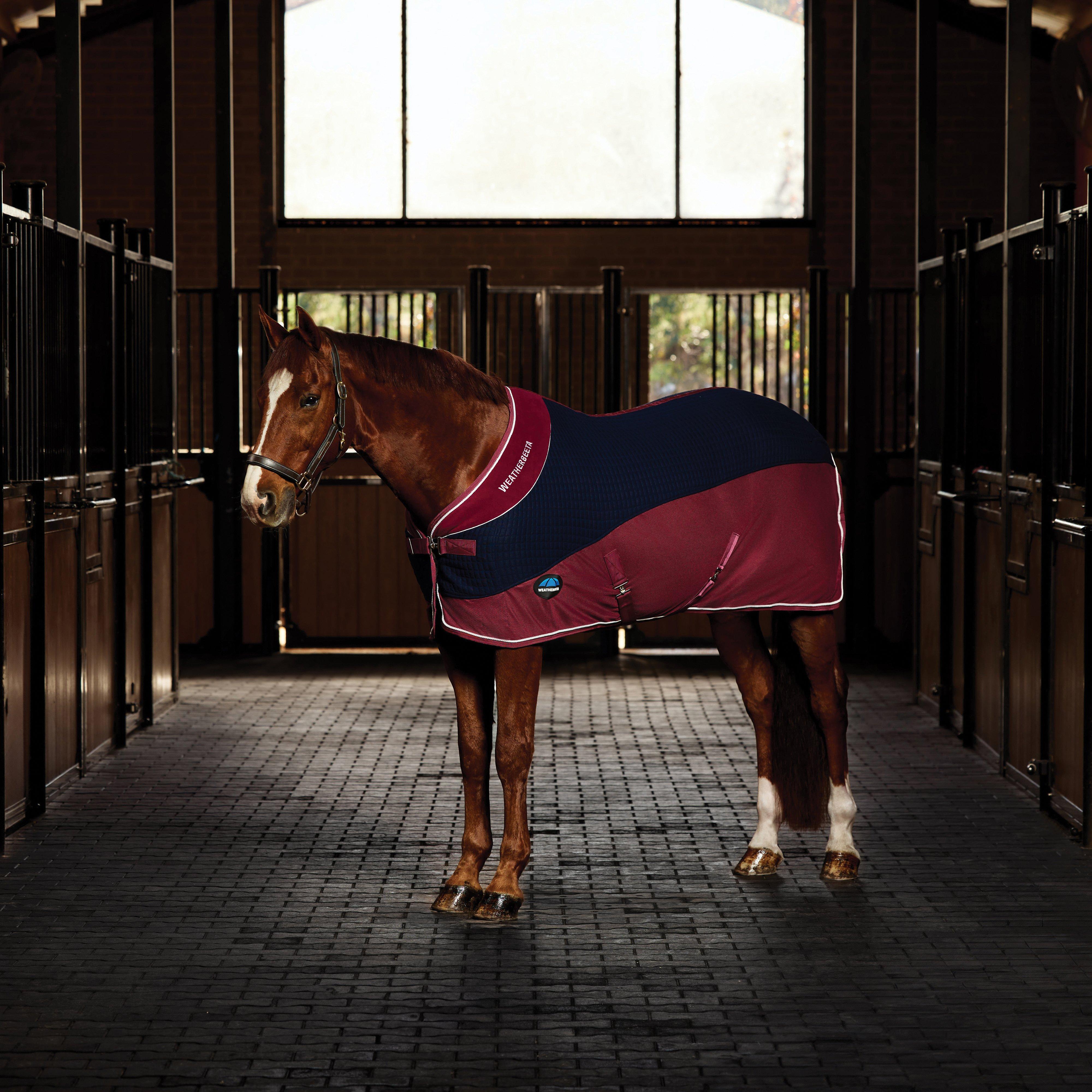 Thermo-Air Cooler Standard Neck