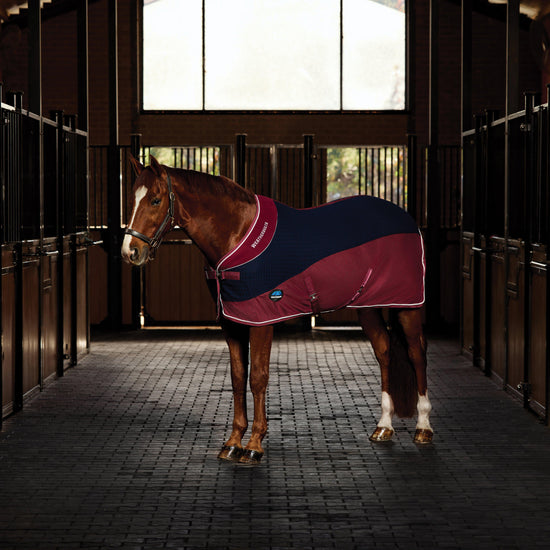 Thermo-Air Cooler Standard Neck