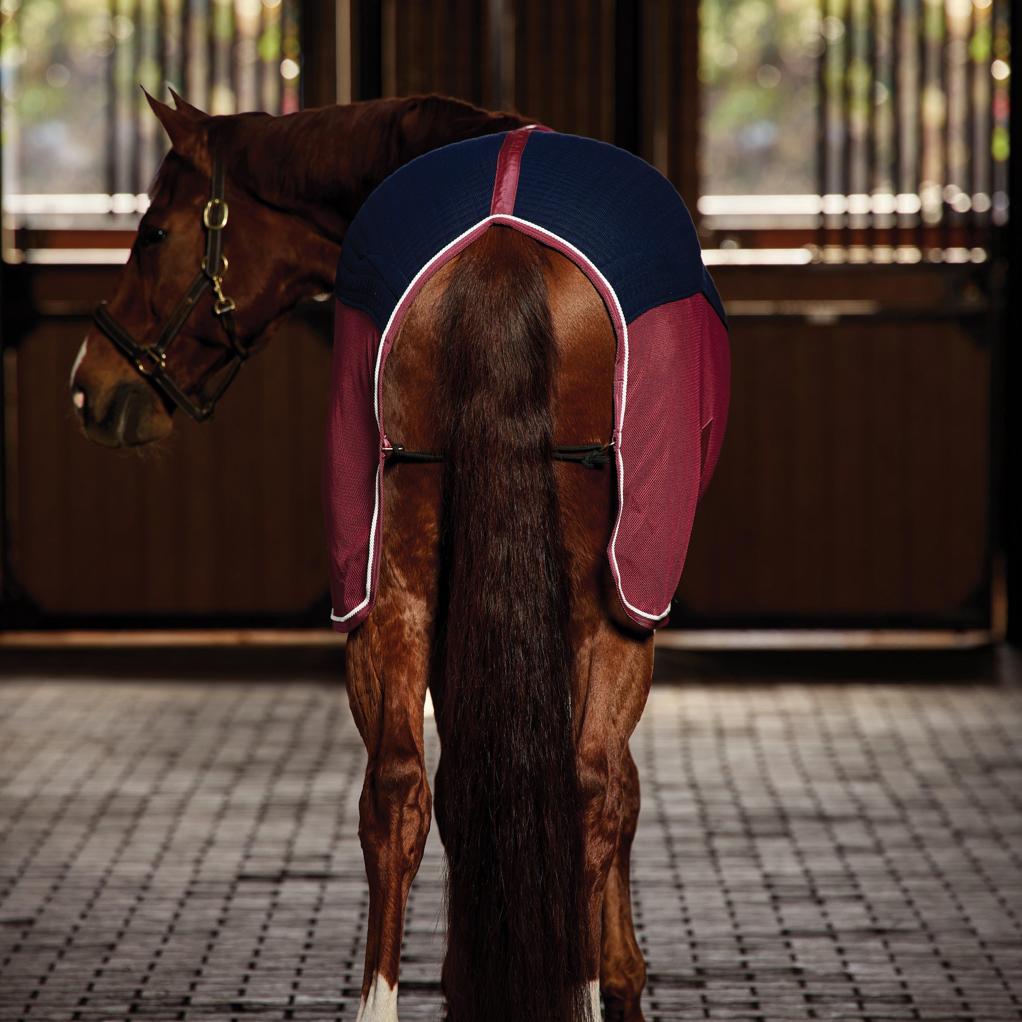 Thermo-Air Cooler Standard Neck