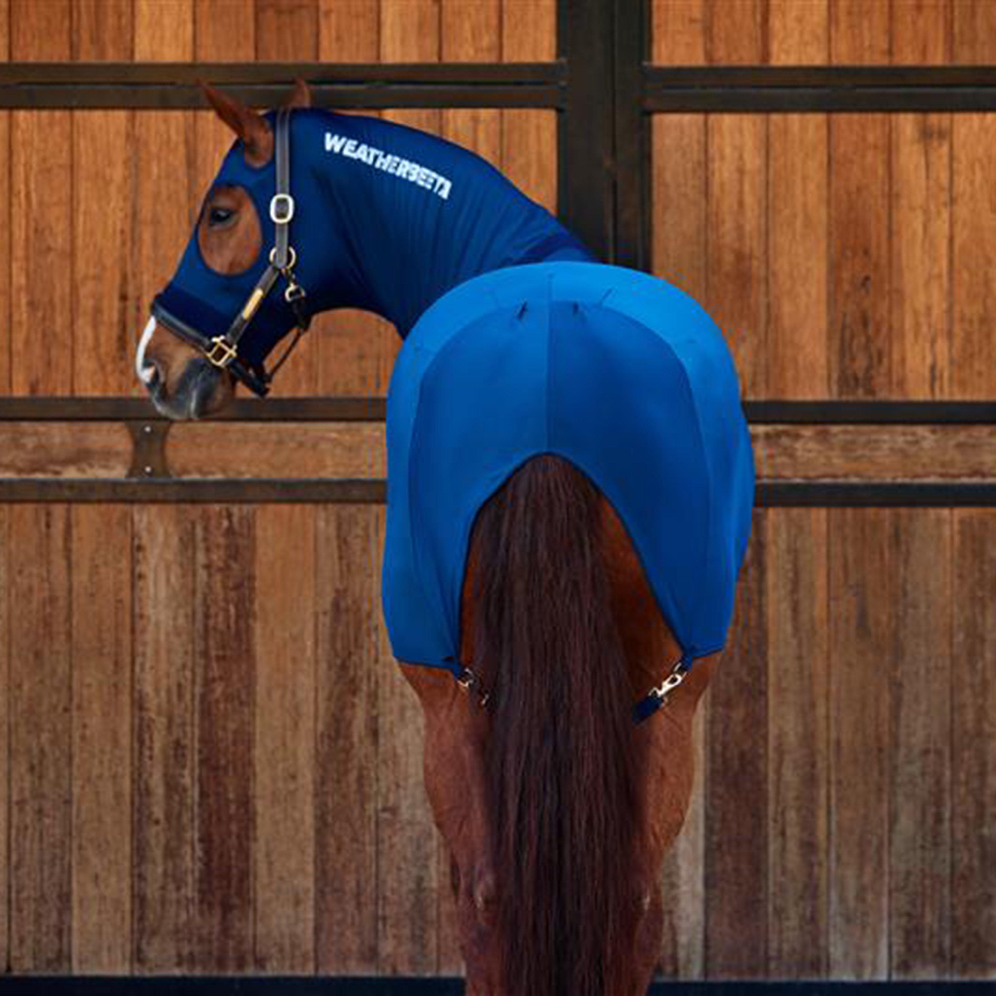 Stretch Rug