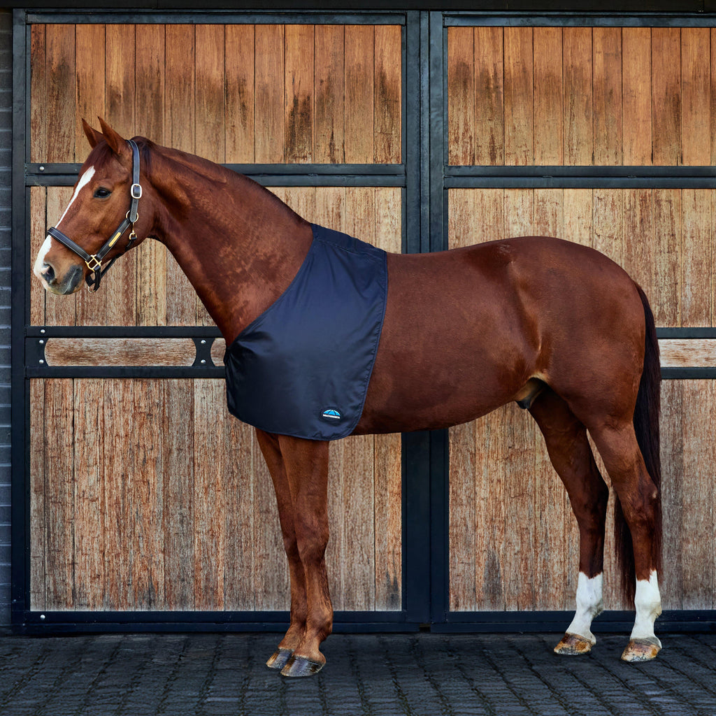 Satin Shoulder Guard