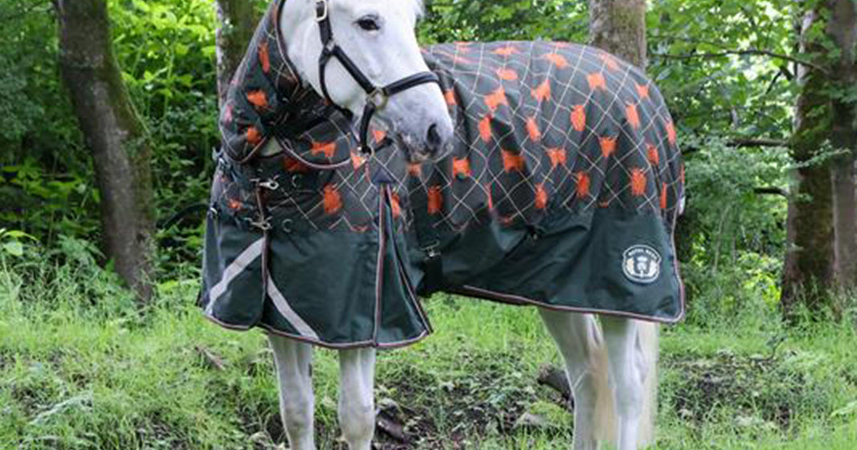 Khaki Royal Scot Original 100g Light Combo Neck Turnout Rug – GO Outdoors
