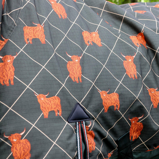 Original 100g Light Combo Neck Turnout Rug