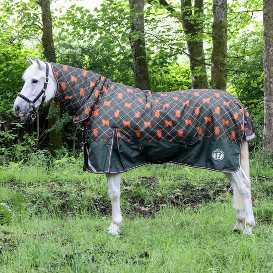 Original 100g Light Combo Neck Turnout Rug