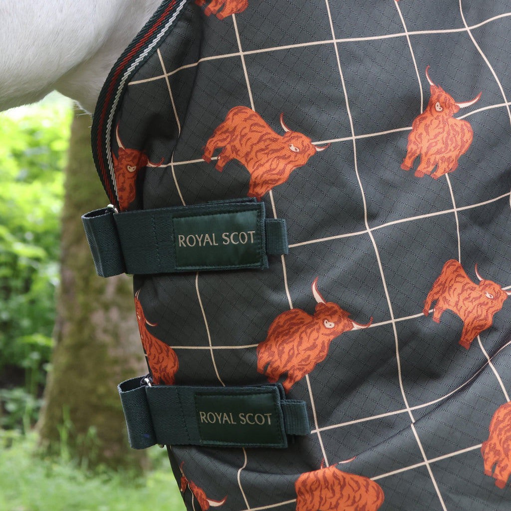 Original 100g Light Combo Neck Turnout Rug