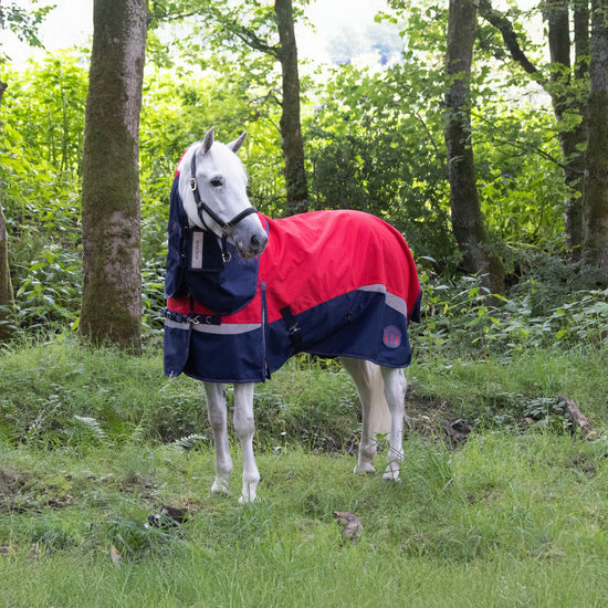 Pro 100g Turnout Rug