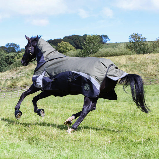 Pro 200g Turnout Rug