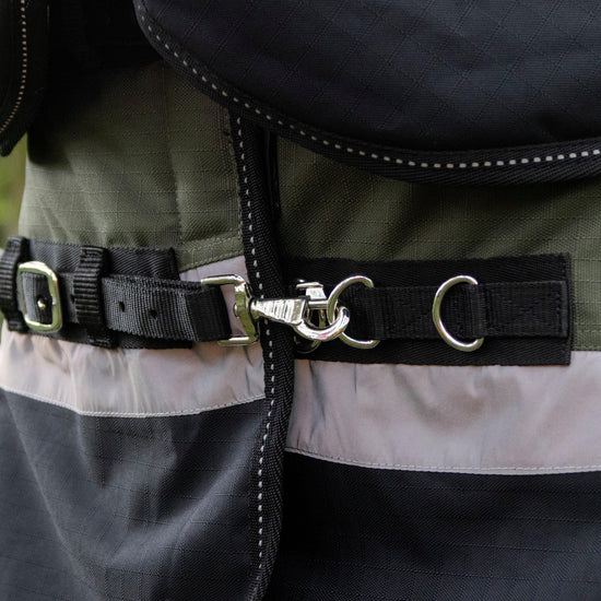 Pro 200g Turnout Rug