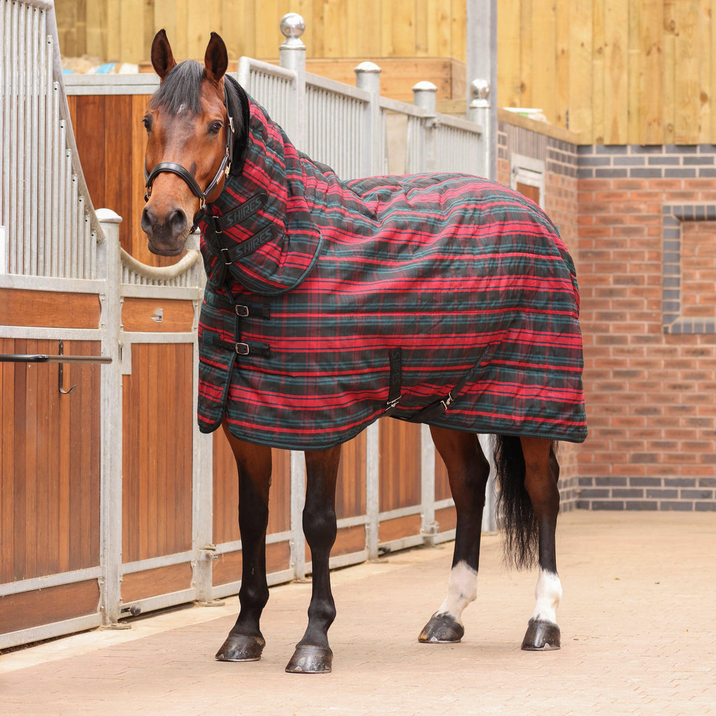 Tempest Plus 200 Stable Combo Rug