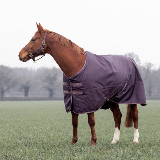 Typhoon 100g Standard Neck Turnout Rug