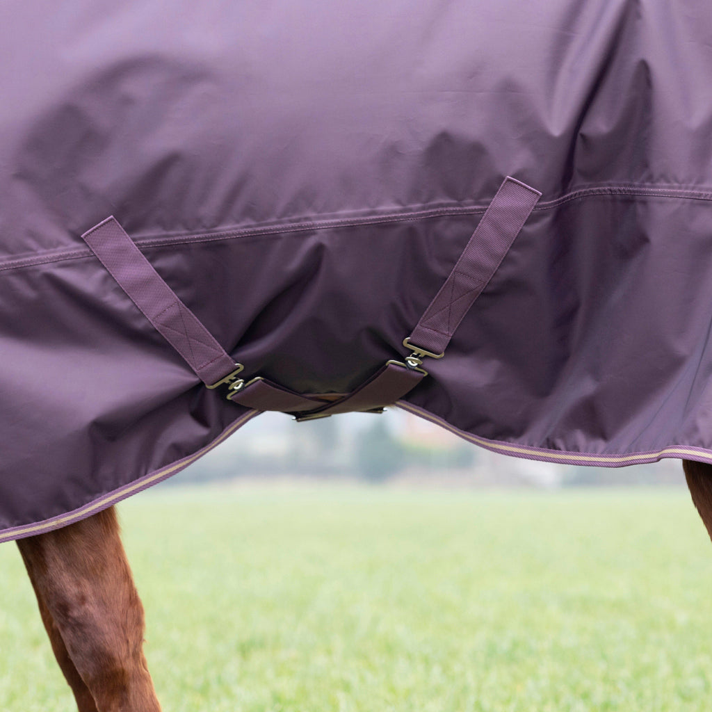 Typhoon 100g Standard Neck Turnout Rug