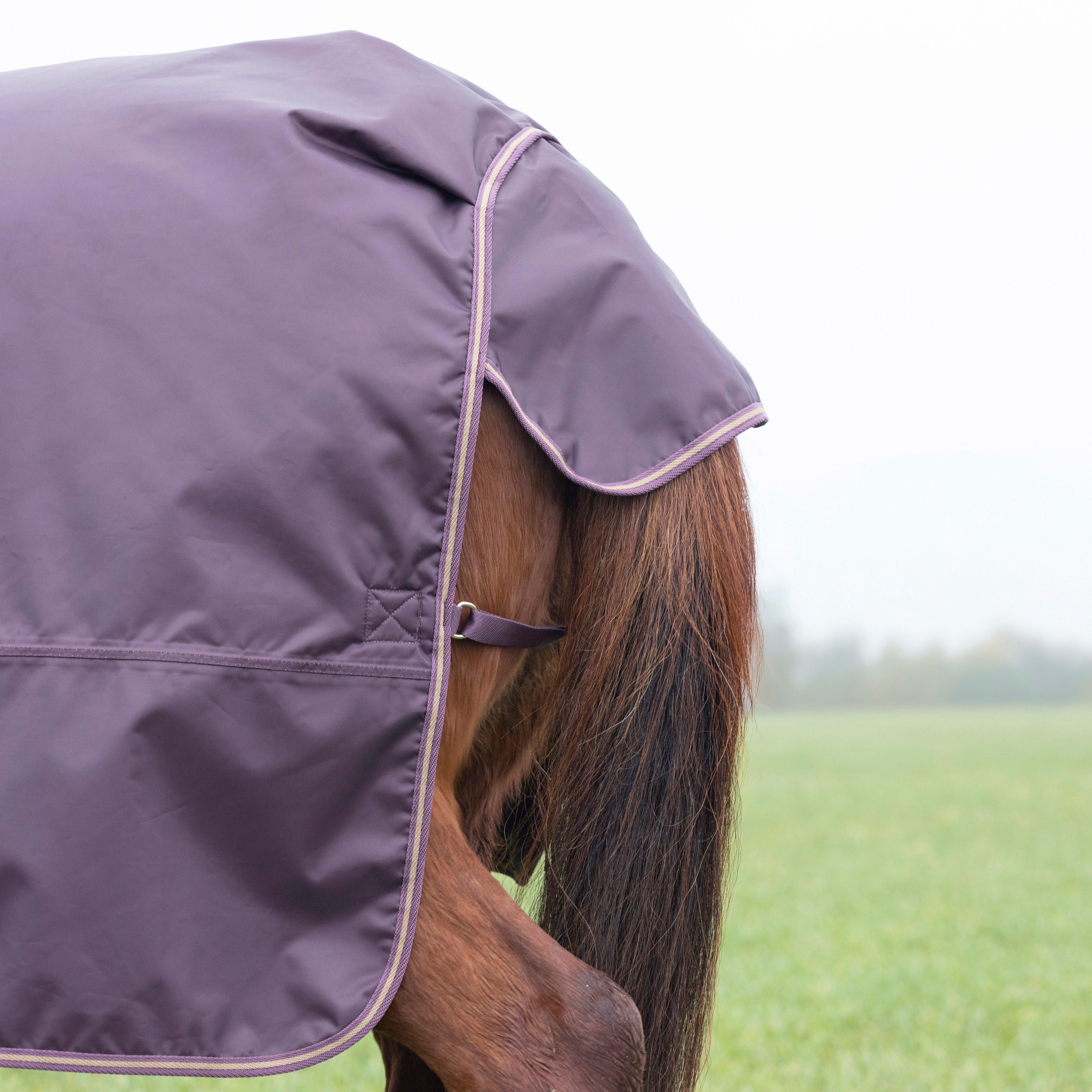 Typhoon 100g Standard Neck Turnout Rug