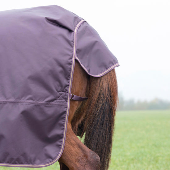 Typhoon 100g Standard Neck Turnout Rug