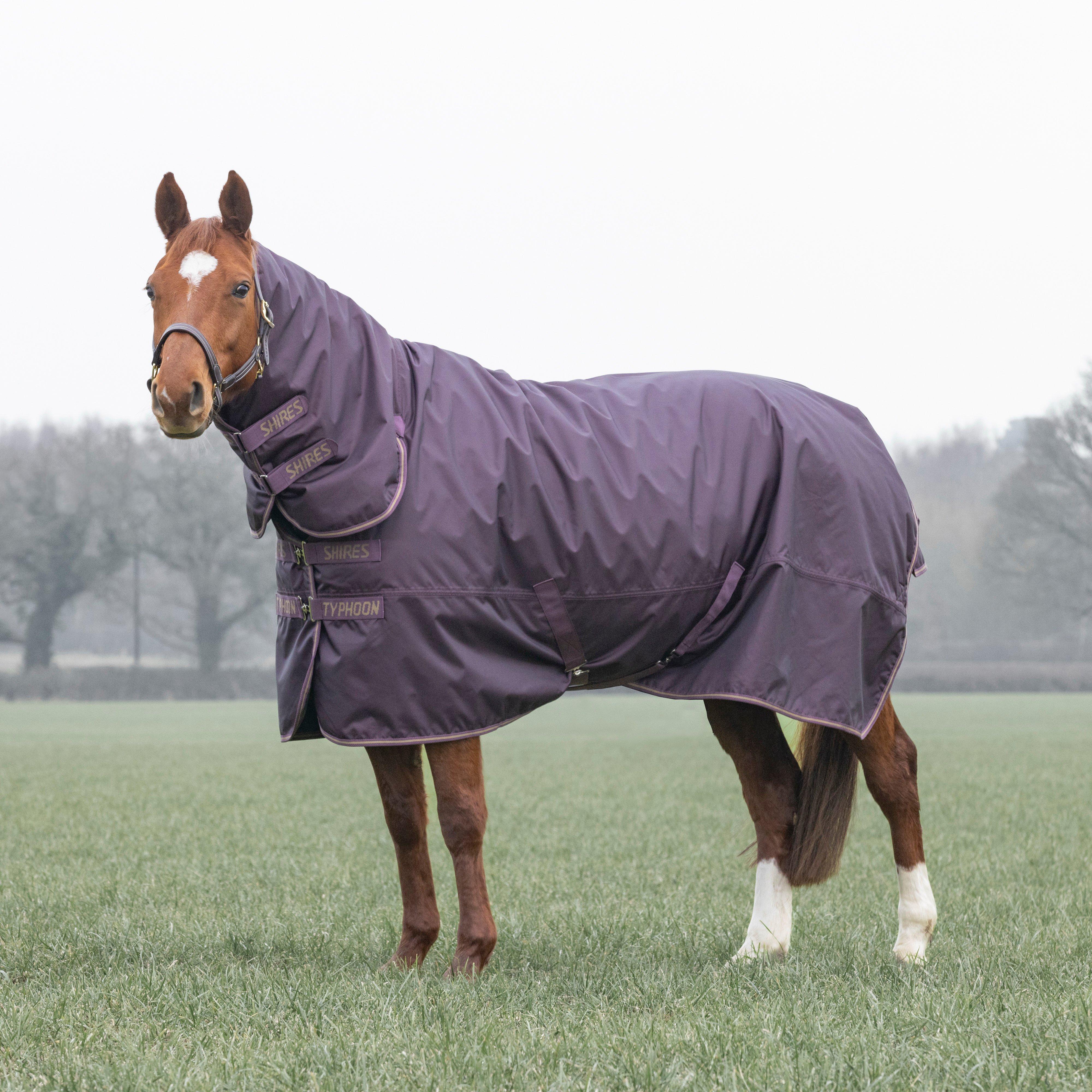 Typhoon 100g Combo Neck Turnout Rug