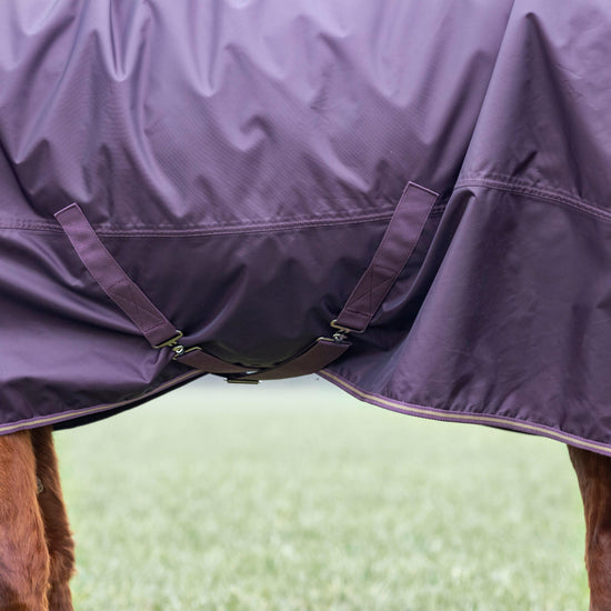 Typhoon 100g Combo Neck Turnout Rug