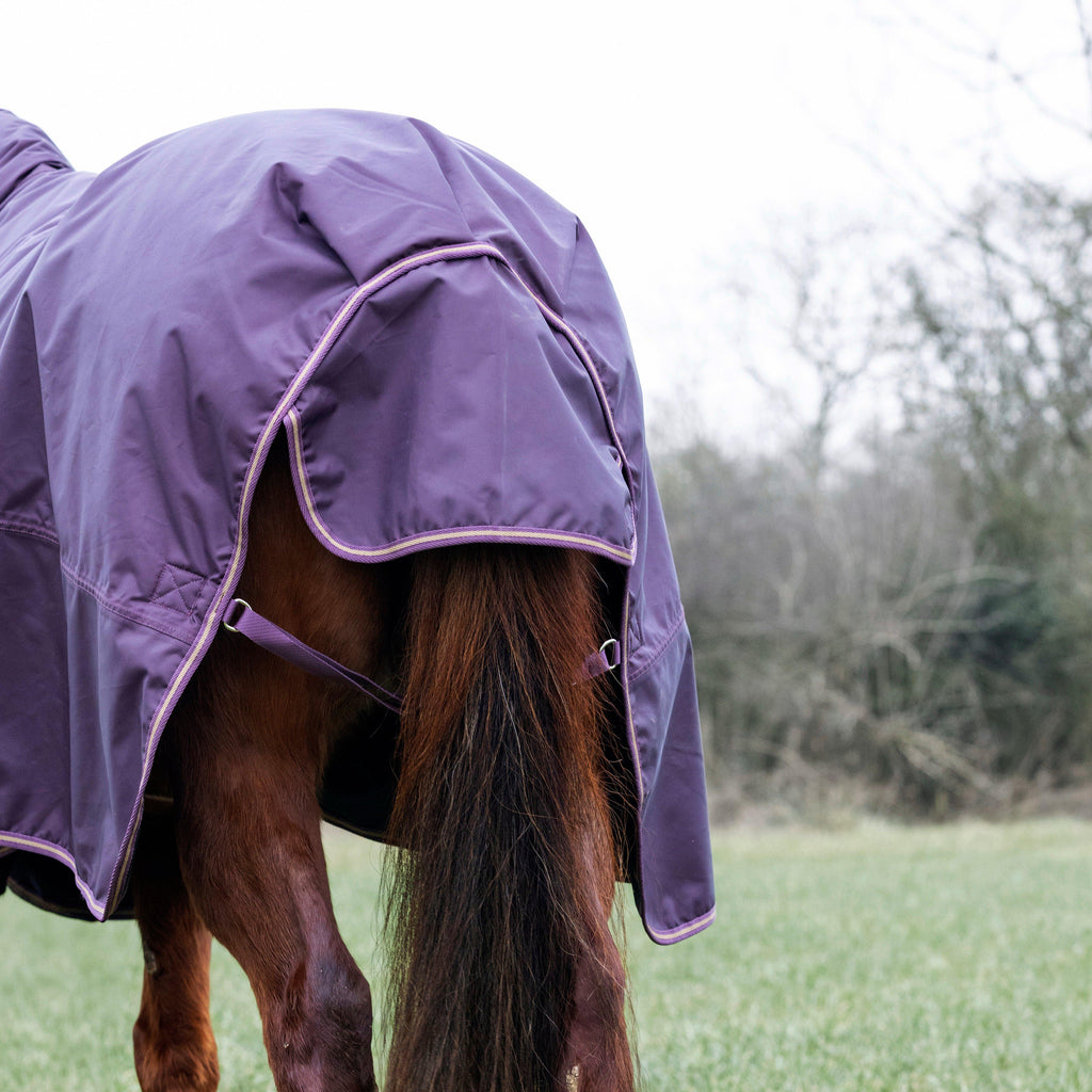 Typhoon 100g Combo Neck Turnout Rug