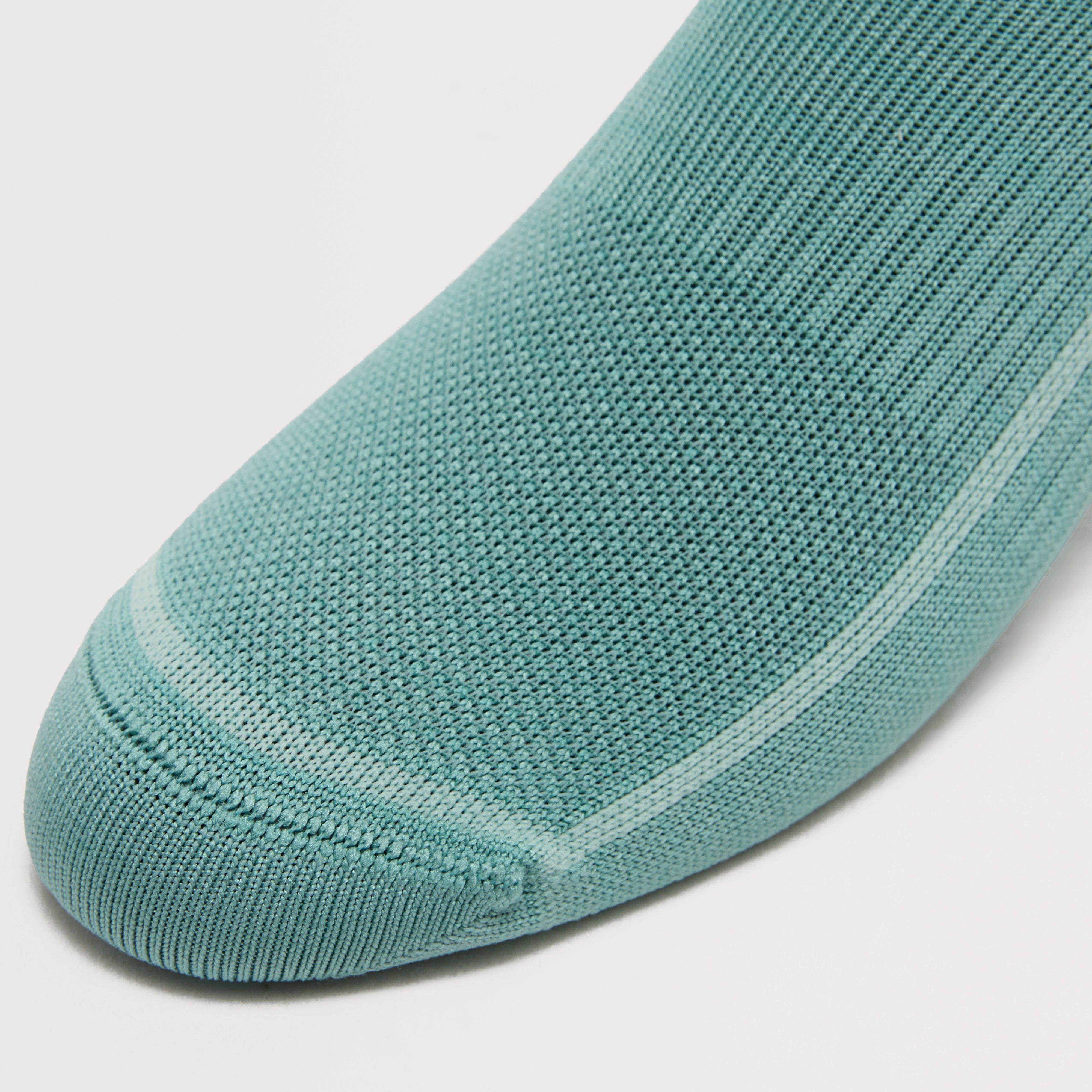 Women's Everyday Plus Lightweight Crew Socks 2 Pair