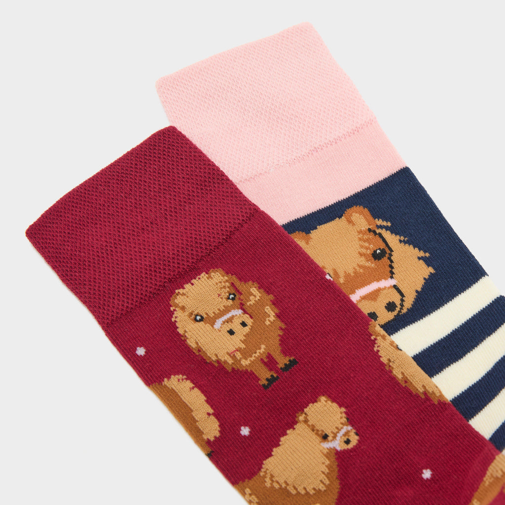 Women's Knee-High Equestrian Socks 2 Pack
